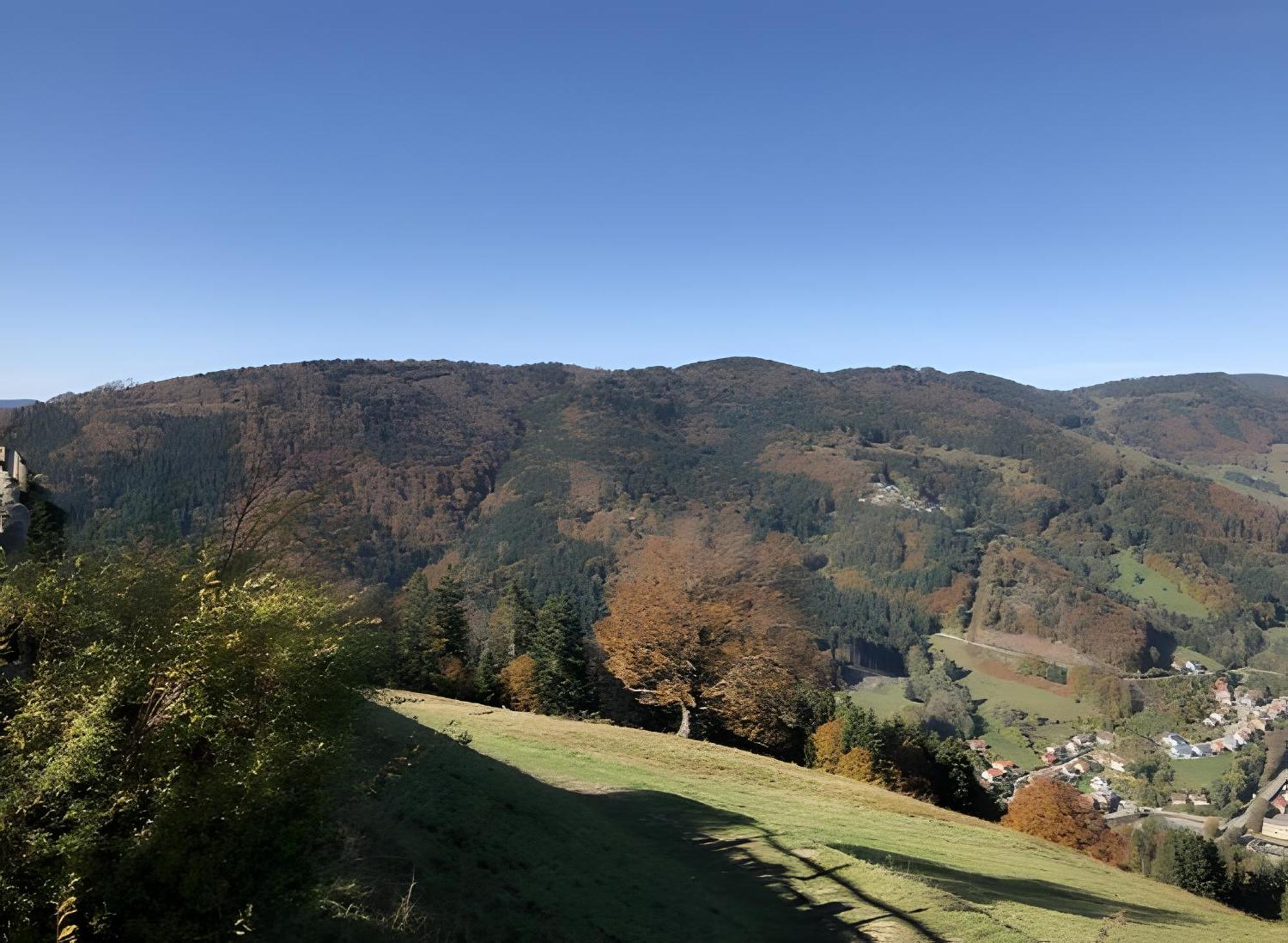 Schluchseetraum * Schluchsee